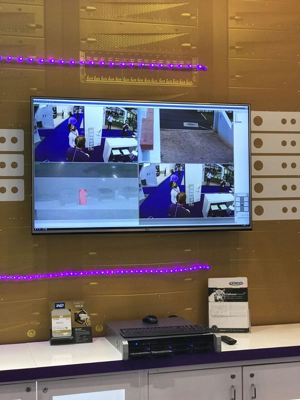 Cathexis at IFSEC South Africa | Cathexis
